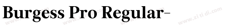 Burgess Pro Regular字体转换